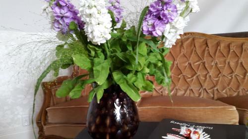 Hostal Pensionat Ankarg�rden