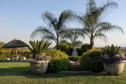 Apartamento Drakensview Self Catering