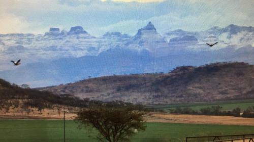 Apartamento Drakensview Self Catering