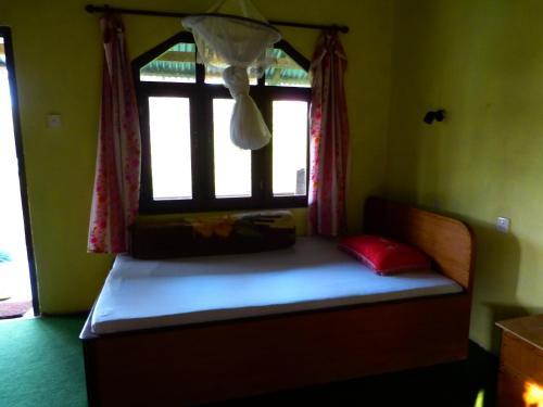 Nature Safari Lodge