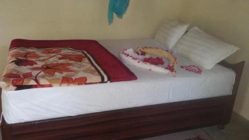 Nature Safari Lodge