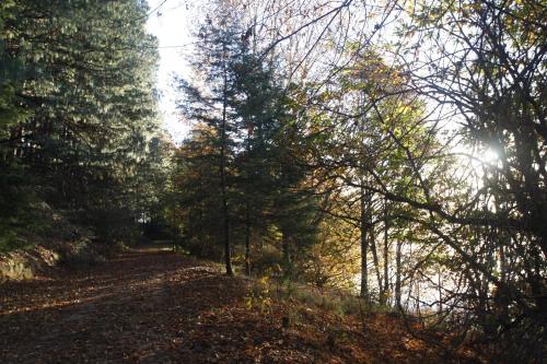Hotel Lake Naverone Holiday Cottages