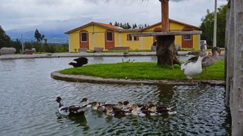 Hotel La Quinta Colorada