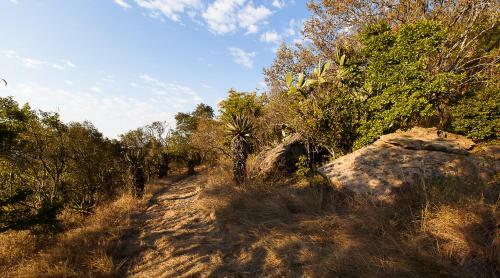 Rorkes Drift Lodge