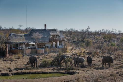 Royal Madikwe Luxury Safari Lodge