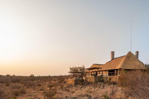 Royal Madikwe Luxury Safari Lodge