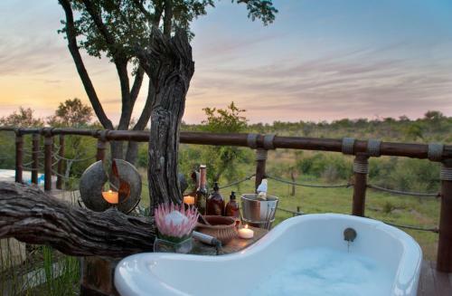 Royal Madikwe Luxury Safari Lodge