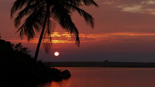 Ocean Green Kerala