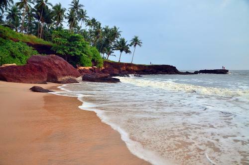 Ocean Green Kerala