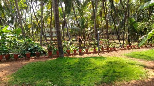Ocean Green Kerala