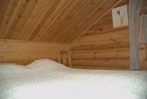 Ruokolahti Cottage