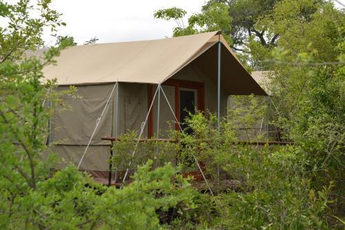The Wild Olive Tree Camp