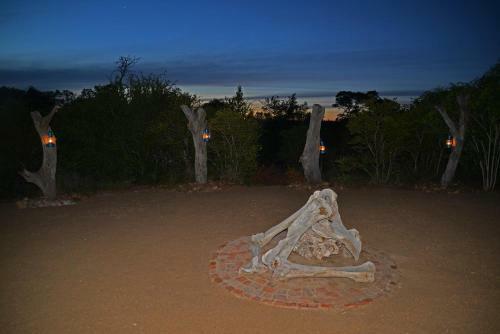 The Wild Olive Tree Camp
