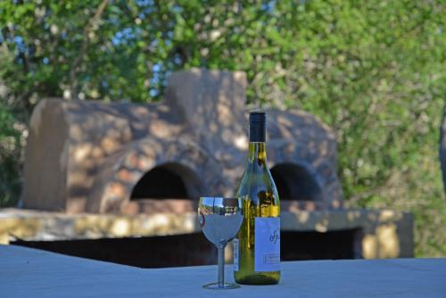 The Wild Olive Tree Camp