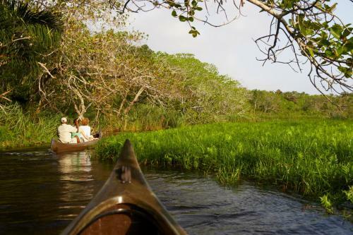 Kosi Forest Lodge