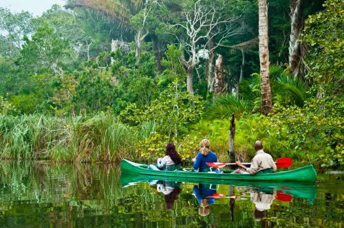 Kosi Forest Lodge