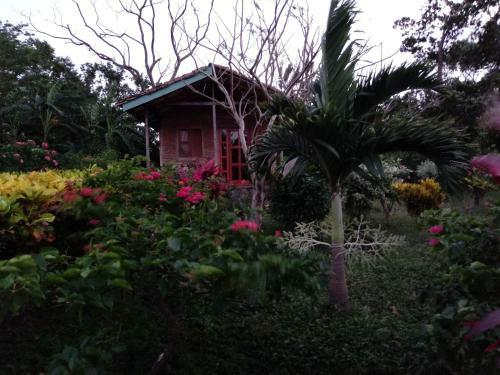 Bed & Breakfast Finca Montania Sagrada