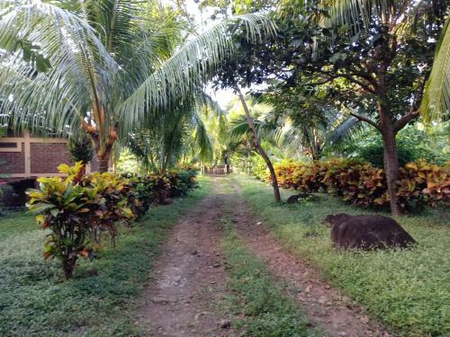 Bed & Breakfast Finca Montania Sagrada