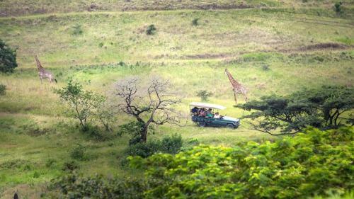 Rain Farm Game Lodge