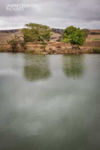 Rain Farm Game Lodge
