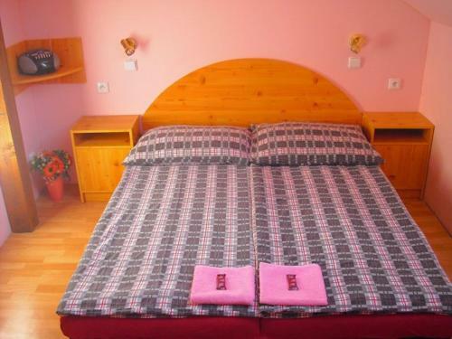Hostal Penzion U Balcarky