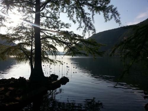 Apartamento Home Nantua Studio Meubl�s Ain-jura