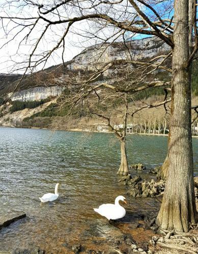 Apartamento Home Nantua Studio Meubl�s Ain-jura