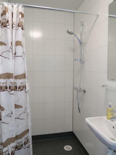 Hostal Dilksnes Guesthouse