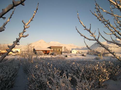 Hostal Dilksnes Guesthouse