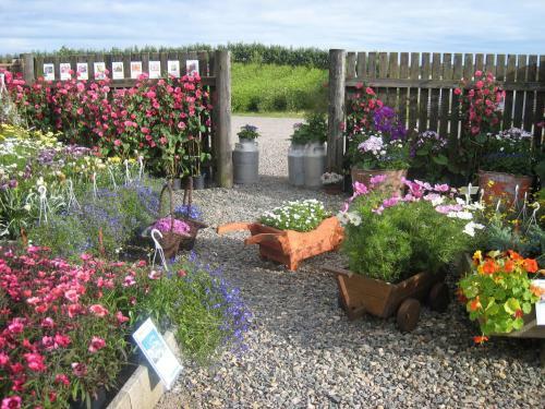 Hostal Dilksnes Guesthouse