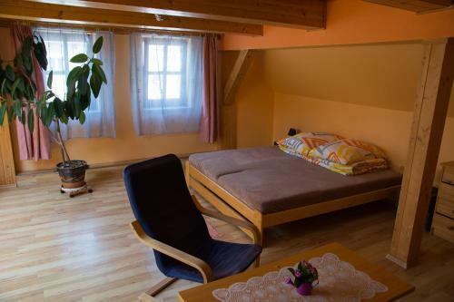 Hostal Penzion H-market