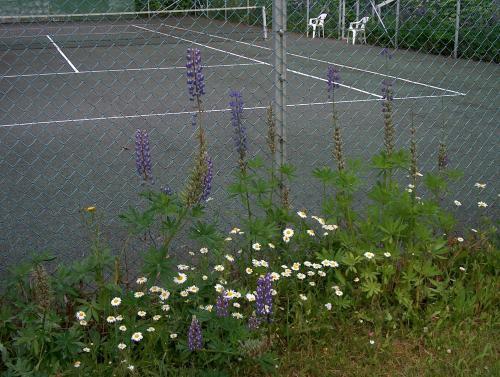 Bed & Breakfast Jokelan Kartano