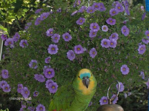 Bed & Breakfast Jokelan Kartano