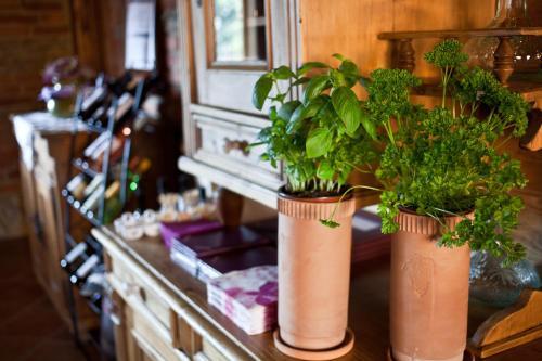 Hostal St.michael Panzi� Lovaspark