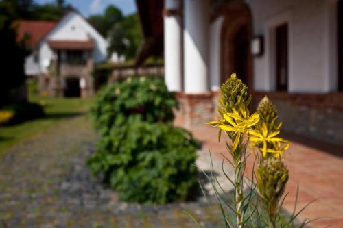 Hostal St.michael Panzi� Lovaspark