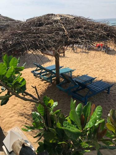 Hostal Blue Ocean Villa