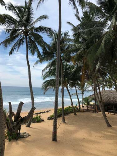 Hostal Blue Ocean Villa