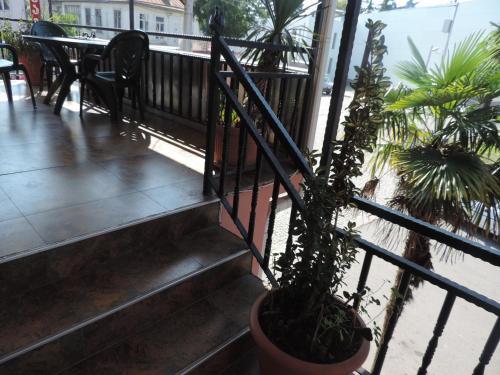 Hostal Magnolia