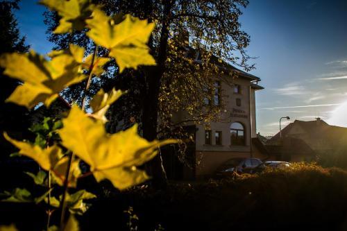 Hostal Pension Alexander