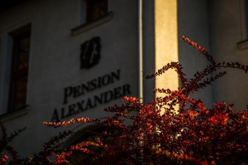 Hostal Pension Alexander