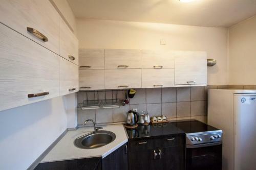 Central Exclusive Apartment