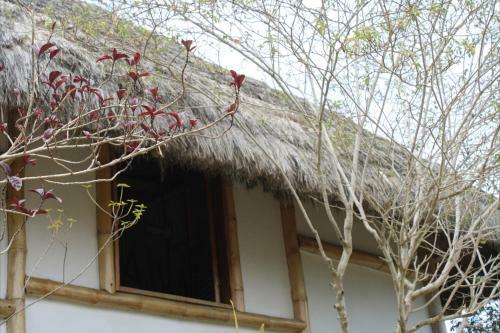 Muyuyo Lodge