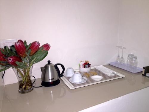 Hostal South Villa