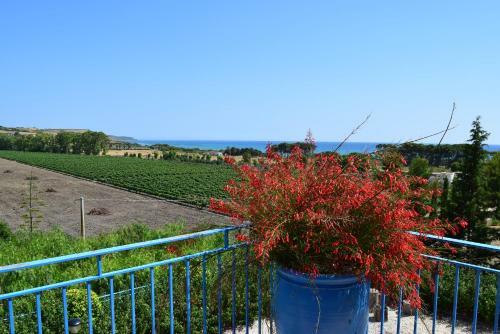 Apartamento Casevacanze Le Muse
