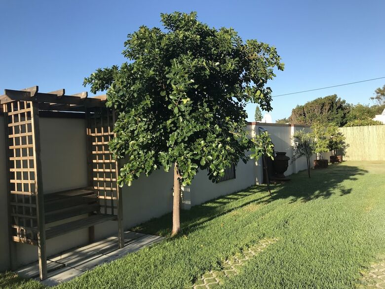 Bed & Breakfast Villa Venusta