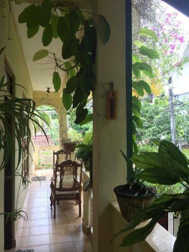 Hostal Palm Grove