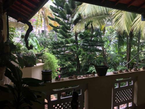 Hostal Palm Grove