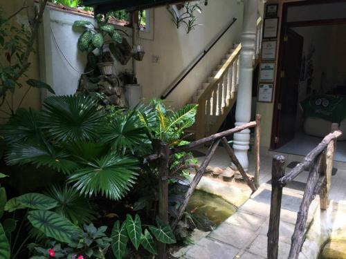 Hostal Palm Grove
