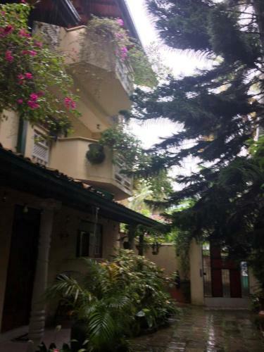 Hostal Palm Grove