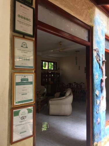Hostal Palm Grove
